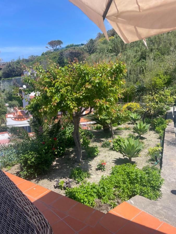 La Dimora Di Zoe Villa
