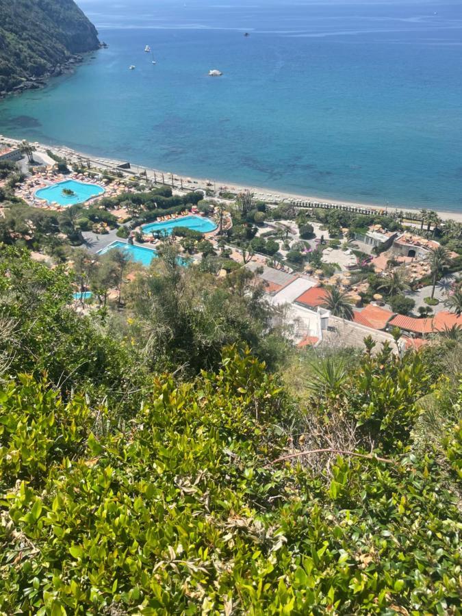 Villa La Dimora Di Zoe *