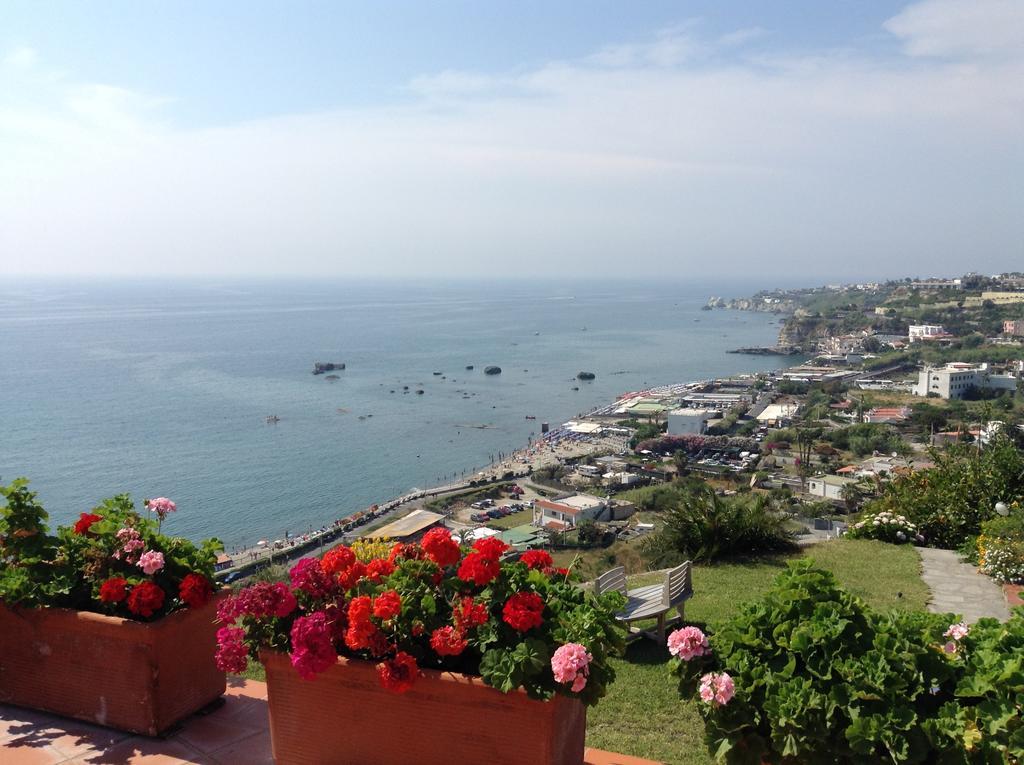 La Dimora Di Zoe * Forio (Isola d'Ischia)