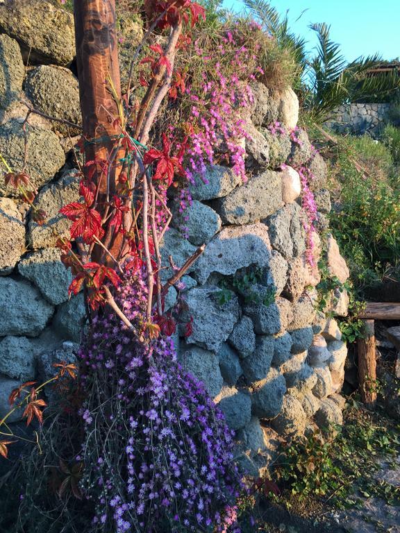 La Dimora Di Zoe Forio (Isola d'Ischia)