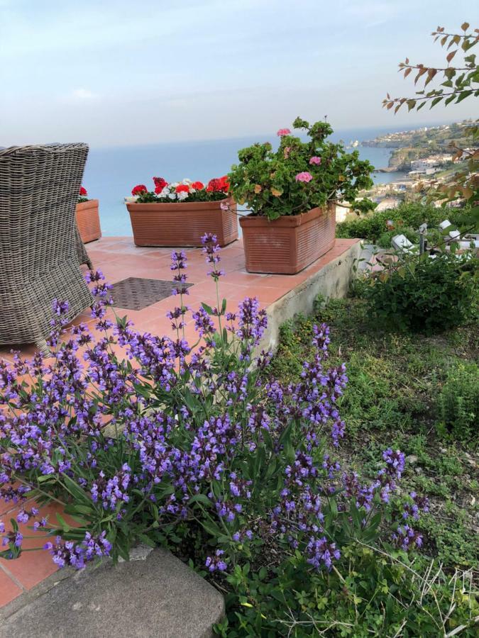 La Dimora Di Zoe Forio (Isola d'Ischia)