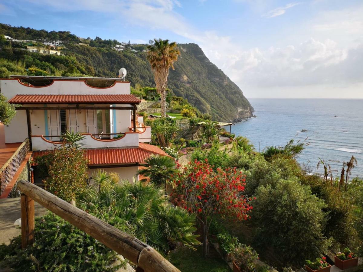 Villa La Dimora Di Zoe Forio (Isola d'Ischia)